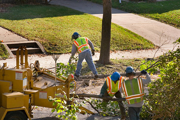 Munroe Falls, OH Tree Removal and Landscaping Services Company